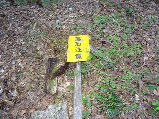 ��������X�ѓS��,�ѓS,�p����,����c�я�,���Β��ӕW��,�t�H���g