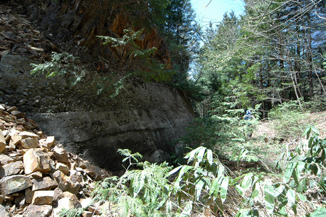 ��������X�ѓS��,�ѓS,�p����,����c�я�,�y�؋O��,�i��