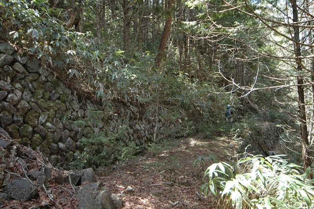 ��������X�ѓS��,�ѓS,�p����,���ꑺ,�g���b�R�O����,�Ί_