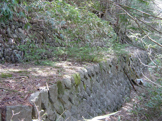 ��������X�ѓS��,�ѓS,�p����,�@��,�؍މ^���O����,����