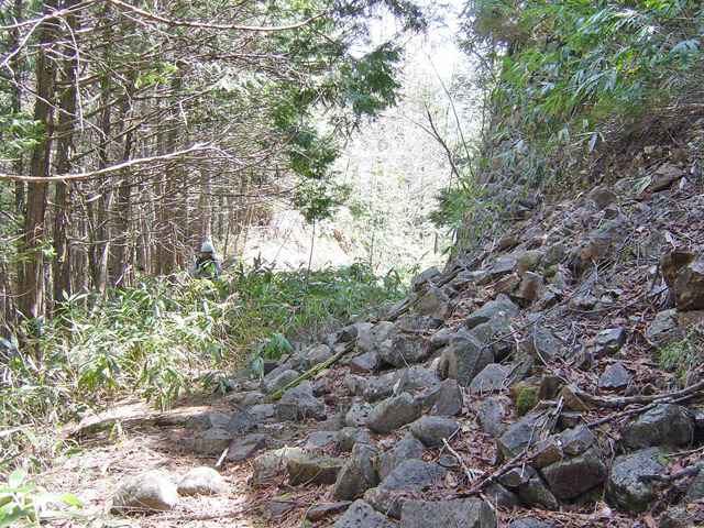 ��������X�ѓS��,�ѓS,�p����,�@��,�؍މ^���O����,�Ί_