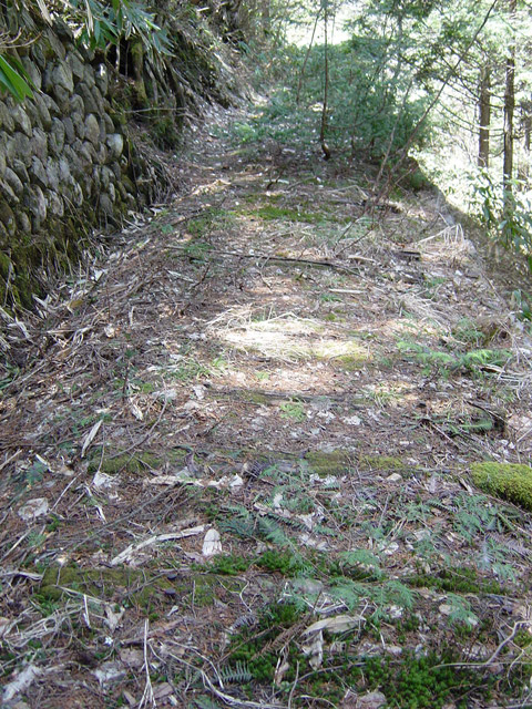 ��������X�ѓS��,�ѓS,�p����,����,�؍މ^���O����,����