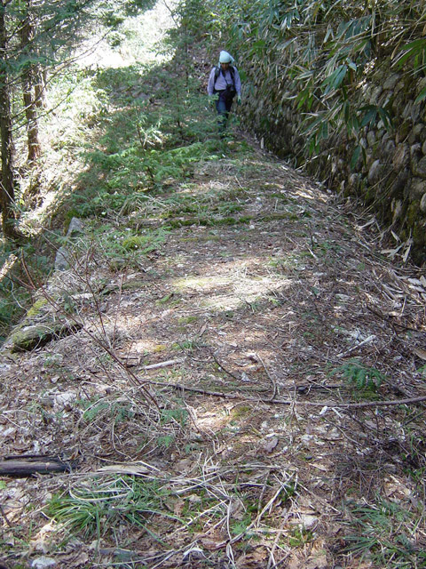 ��������X�ѓS��,�ѓS,�p����,�H��,�؍މ^���O����,����