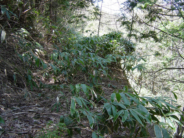 �ؑ]�X�ѓS�����������,�ѓS,�p����,����c�я�,�y�؋O��,�N�}��