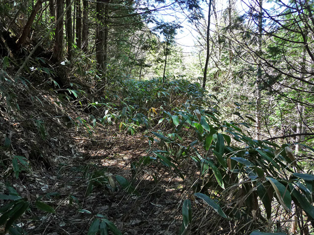 �ؑ]�X�ѓS�����������,�ѓS,�p����,���ꑺ,�y�؋O��,�N�}��