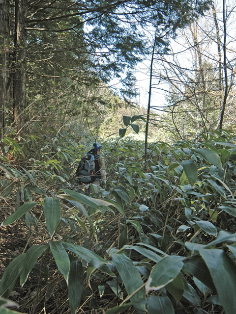 �ؑ]�X�ѓS�����������,�ѓS,�p����,����,�g���b�R�O��,�H��