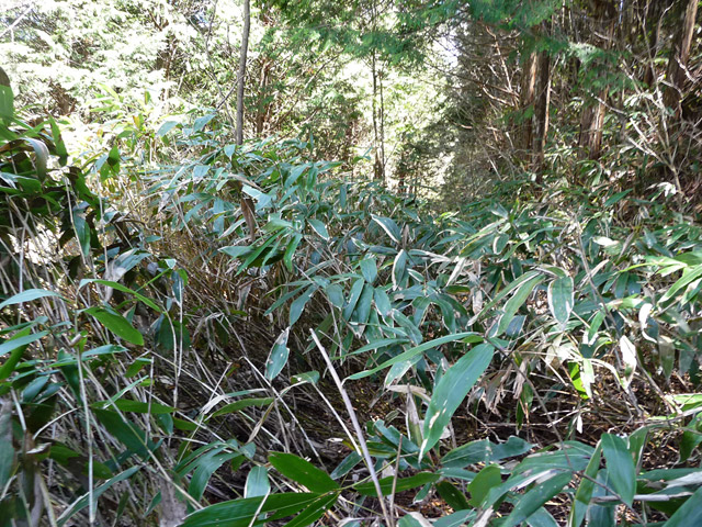 �ؑ]�X�ѓS�����������,�ѓS,�p����,�ѓ�,�y�؋O��,����c�я�