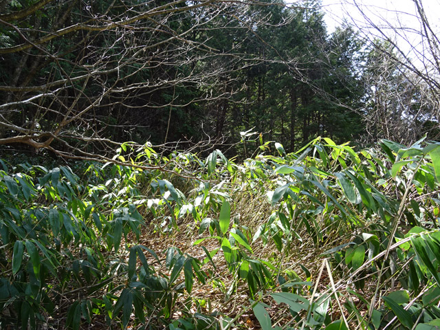 �ؑ]�X�ѓS�����������,�ѓS,�p����,�ѓ�,�y�؋O��,����c�я�