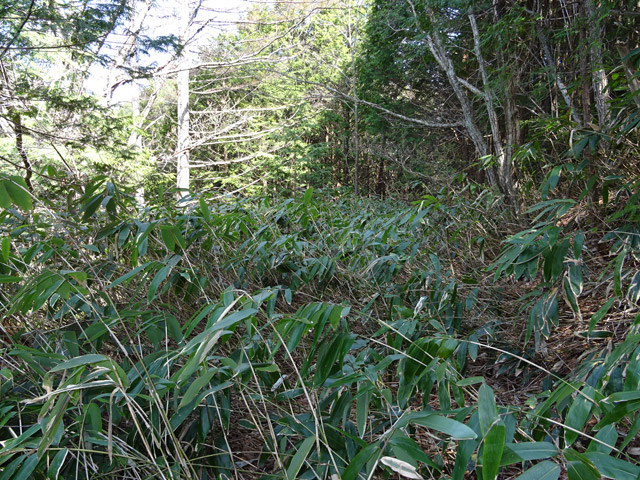 �ؑ]�X�ѓS�����������,�ѓS,�p����,�ѓ�,�y�؋O��,���ꑺ