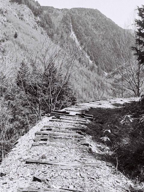 �ؑ]�X�ѓS�����������,�ѓS,�p����,����,�y�؋O��,����