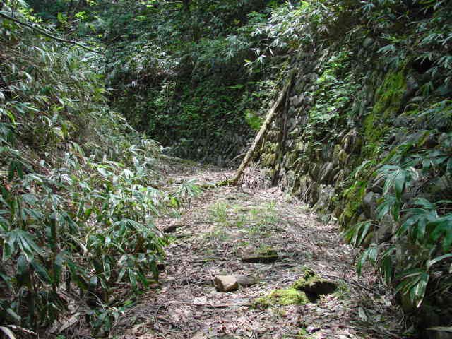 �ؑ]�X�ѓS�����������,�ѓS,�p����,�w�A�s���J�[�u,�ѓ�,����c�я�