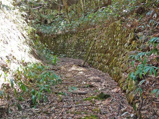 �ؑ]�X�ѓS�����������,�ѓS,�p����,�w�A�s���J�[�u,�؍މ^���O��,����c�я�