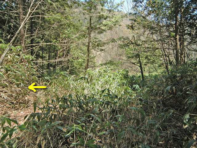 �ؑ]�X�ѓS�����������,�ѓS,�p����,�g���b�R�O��,����,����c�я�