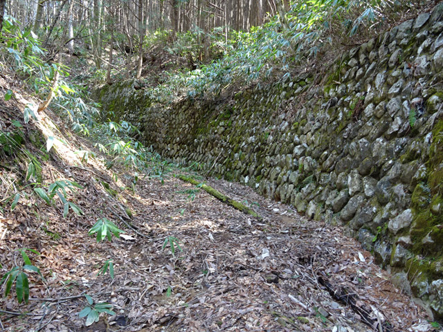 �ؑ]�X�ѓS�����������,�ѓS,�p����,�g���b�R�O��,�x��,����c�я�