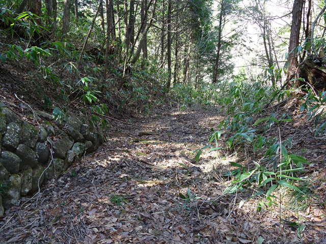 �ؑ]�X�ѓS�����������,�ѓS,�p����,�g���b�R�O��,�H��,����c�я�