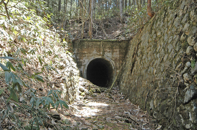 �ؑ]�X�ѓS�����������,�ѓS,�p����,�g���b�R�O��,���`,���ꑺ