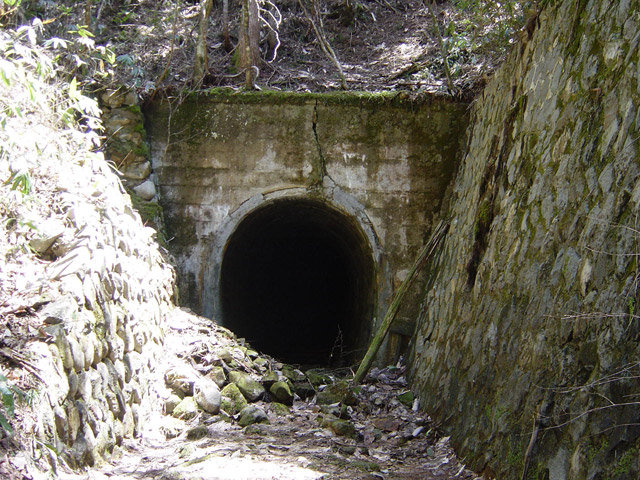 �ؑ]�X�ѓS�����������,�ѓS,�p����,��1��詓�,�g���l��,����c�я�