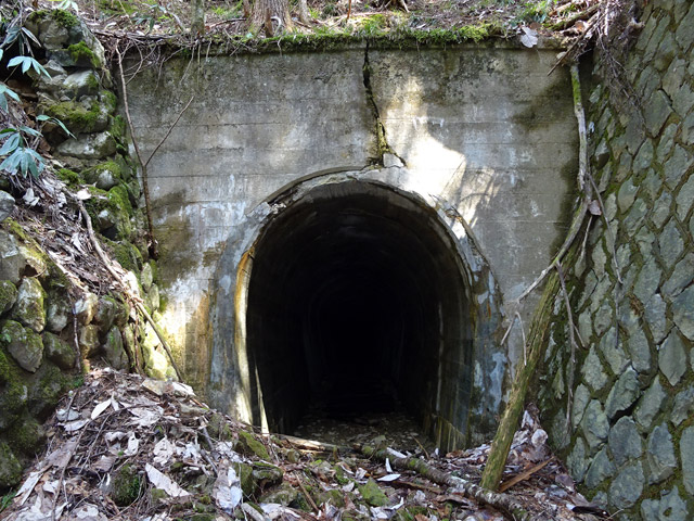 �ؑ]�X�ѓS�����������,�ѓS,�p����,��1��詓�,�g���l��,�|�[�^��,�n���`