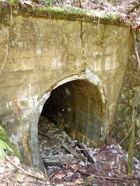 �ؑ]�X�ѓS�����������,�ѓS,�p����,��1��詓�,�g���l��,�n���`