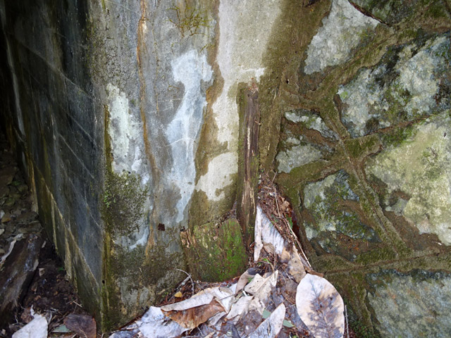 ��������X�ѓS��,�ѓS,�p����,詓��\����,�\�����W,�g���l��,��������ѓ��N�_