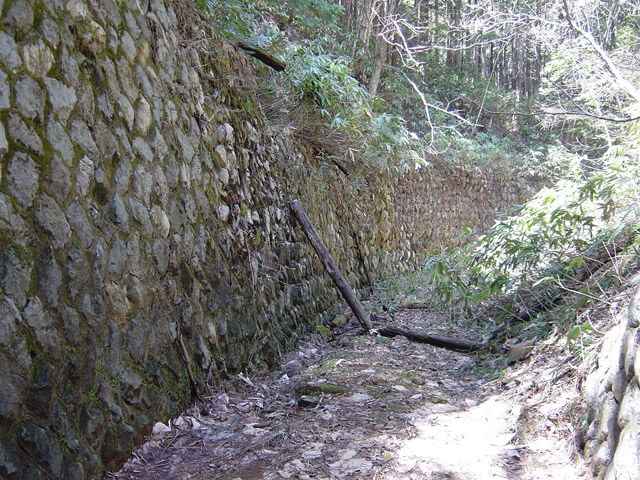 ��������X�ѓS��,�ѓS,�p����,�؍މ^���O��,�ؑ]�X,�Ί_