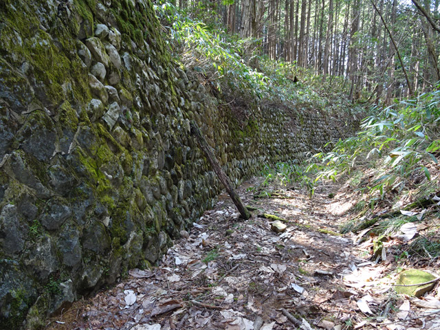 ��������X�ѓS��,�ѓS,�p����,�؍މ^���O��,����,�Ί_,���ꑺ