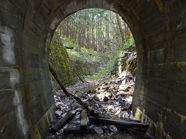 ��������X�ѓS��,�ѓS,�p����,�g���b�R�O��,詓�,�g���l��,����