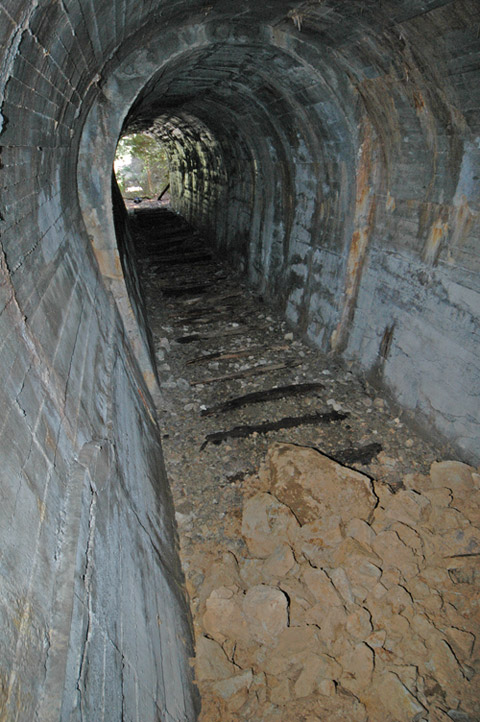 �ؑ]�X�ѓS�����������,�ѓS,�p����,詓�,��1���g���l��,�f��