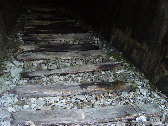 �ؑ]�X�ѓS�����������,�ѓS,�p����,詓�,��1���g���l��,����