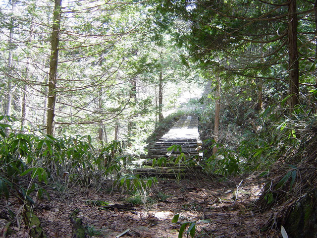 �ؑ]�X�ѓS�����������,�ѓS,�p����,���ꑺ,��1���g���l��,詓�