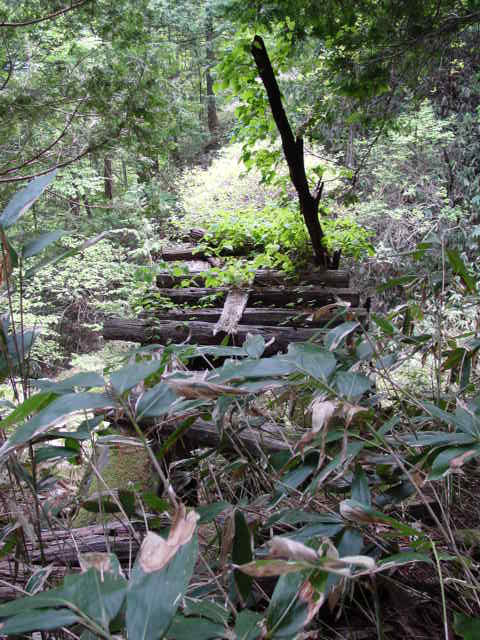 �ؑ]�X�ѓS�����������,�ѓS,�p����,���������,�؋�,����c�я�