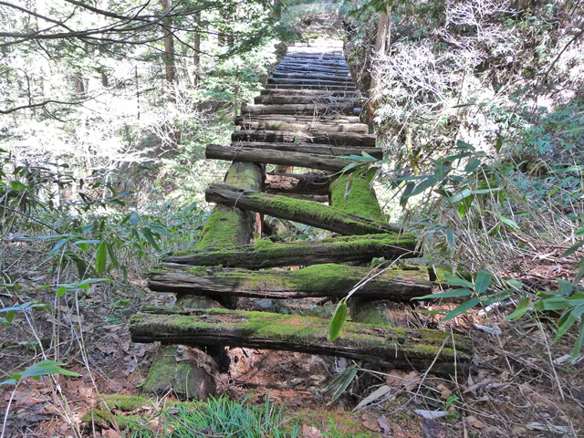 �ؑ]�X�ѓS�����������,�ѓS,�p����,���������,�ؑ���,����