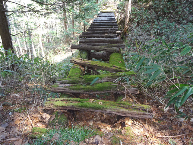 �ؑ]�X�ѓS�����������,�ѓS,�p����,���������,�ؑ���,�،�