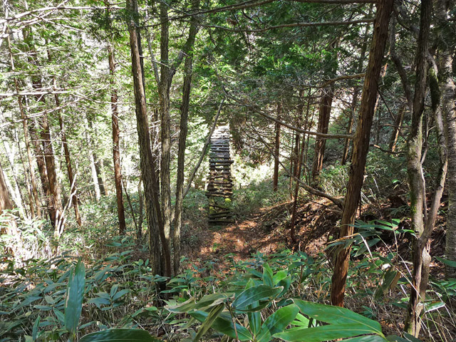 �ؑ]�X�ѓS�����������,�ѓS,�p����,���������,�g���l��,詓�