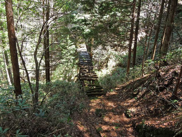 �ؑ]�X�ѓS�����������,�ѓS,�p����,���������,�g���l��,詓�