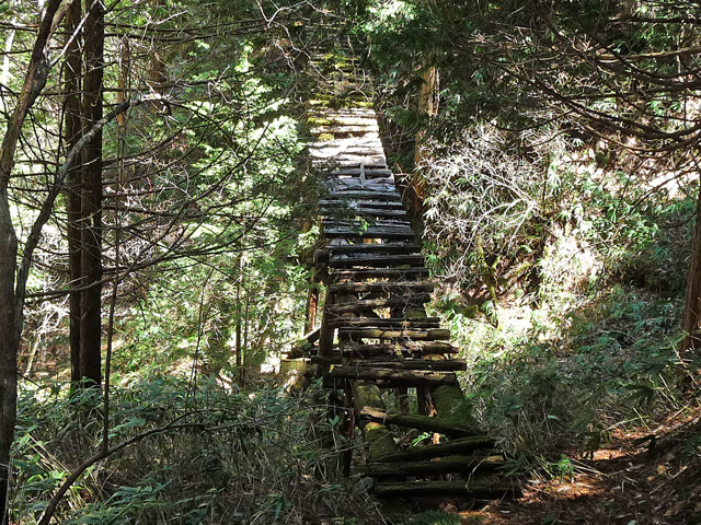 �ؑ]�X�ѓS�����������,�ѓS,�p����,���������,�؋�,�y�؋O��