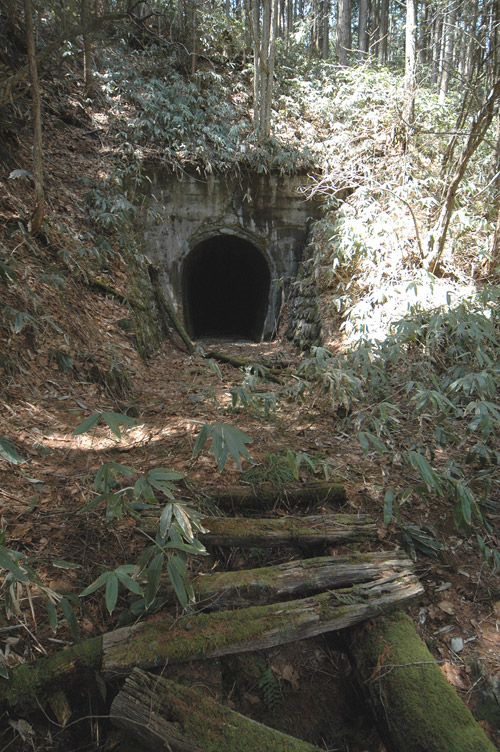 �ؑ]�X�ѓS�����������,�ѓS,�p����,���������,�g���l��,��1��詓�