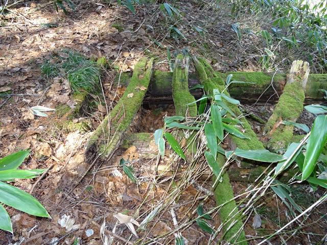 ��������X�ѓS��,�ѓS,�p����,���������,�؋�,����,����