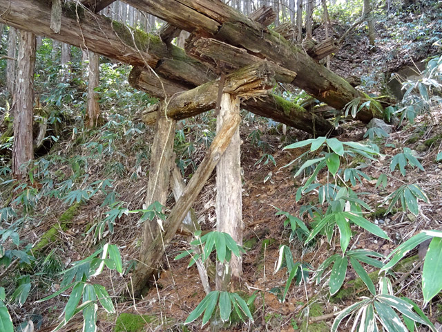 ��������X�ѓS��,�ѓS,�p����,���������,�؋�,���r,�a��