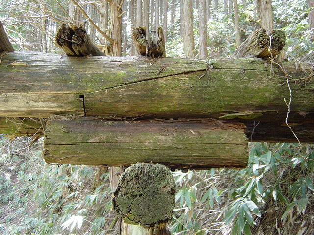 ��������X�ѓS��,�ѓS,�p����,���������,�؋�,����,�Z�p