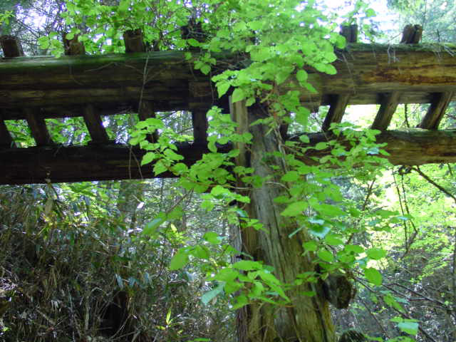 ��������X�ѓS��,�ؑ]�ѓS,�p����,���������,�؋�,�O����,���r