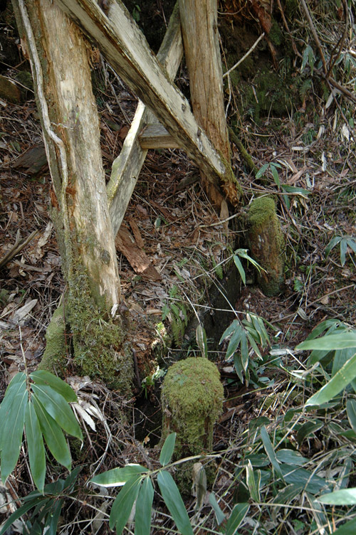 ��������X�ѓS��,�ؑ]�ѓS,�p����,���������,�؋�,����c�ыǉ���c�я�,�����r