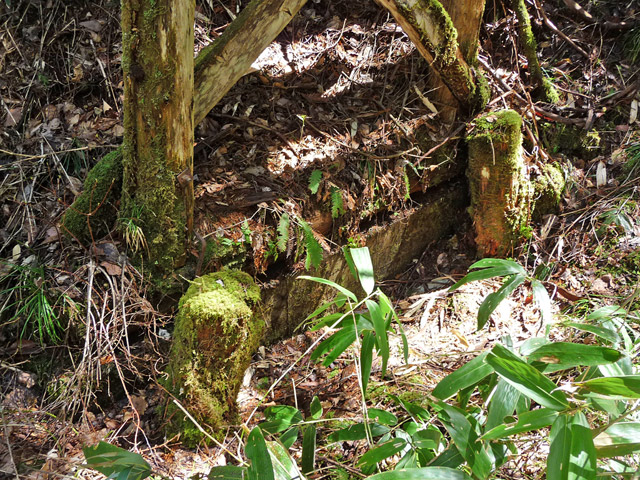 ��������X�ѓS��,�ؑ]�ѓS,�p����,���������,�؋�,�ѓ�,�����r