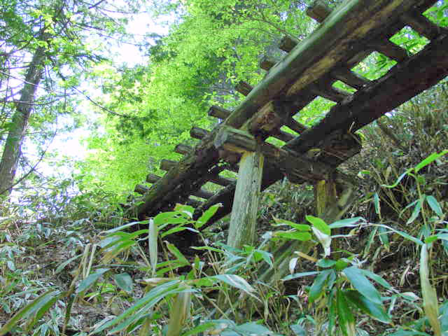 �ؑ]�X�ѓS�����������,�ѓS,�p����,���������,�؋�,�a��,���r