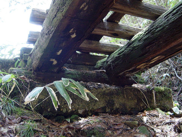 �ؑ]�X�ѓS�����������,�ѓS,�p����,���������,�؋�,����,�\��