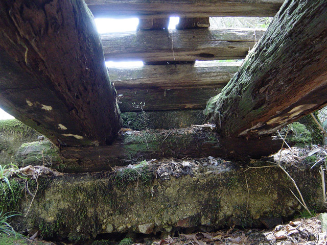 �ؑ]�X�ѓS�����������,�ѓS,�p����,���������,�ؑ���,����,���ꑺ