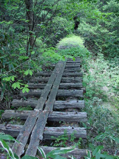 ��������X�ѓS��,�ѓS,�p����,�ѓ�,�y�؋O��,����