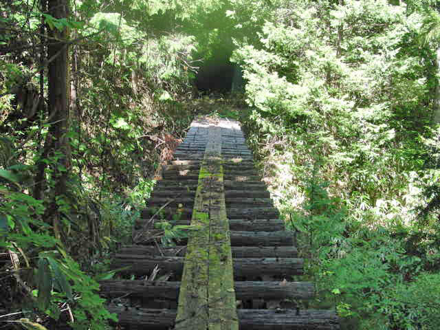 ��������X�ѓS��,�ѓS,�p����,����c�я�,�y�؋O��,�ؑ]�X�ѓS��