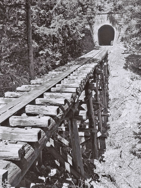 ��������X�ѓS��,�ѓS,�p����,�ѓ�,�y�؋O��,����