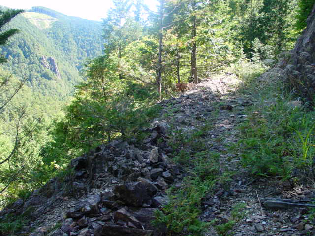 �ؑ]�X�ѓS�����������,�ѓS,�p����,�i���[�O����,����,�H��,����V���